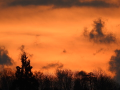 実家の夕景