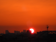 東京タワーと３羽の朝