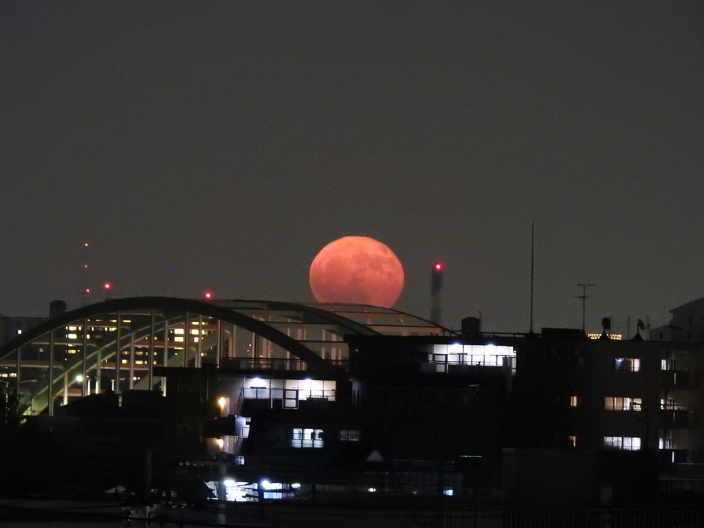 東京タワーと月の出