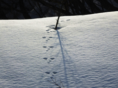 彼の山