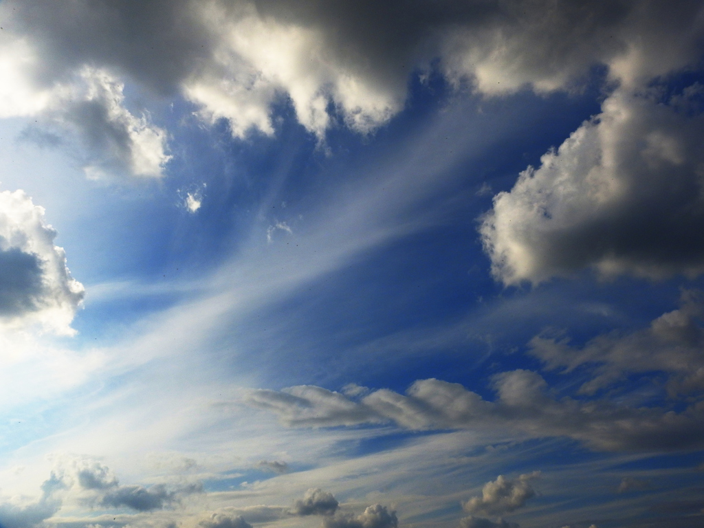 芸術の秋空