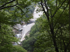吹割の滝　下流域