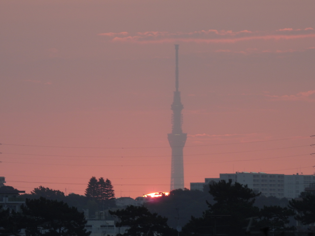期待高まる瞬間