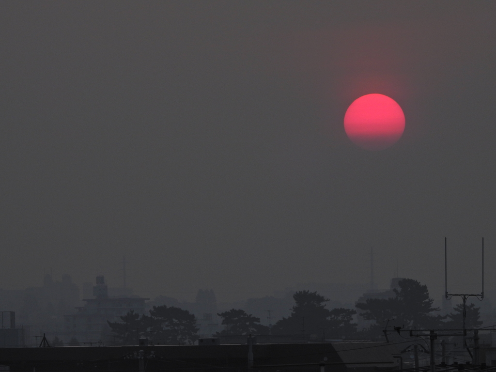 １５分遅れの朝日　７月３１日