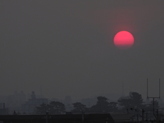 １５分遅れの朝日　７月３１日