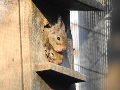 狭くても我が家が一番