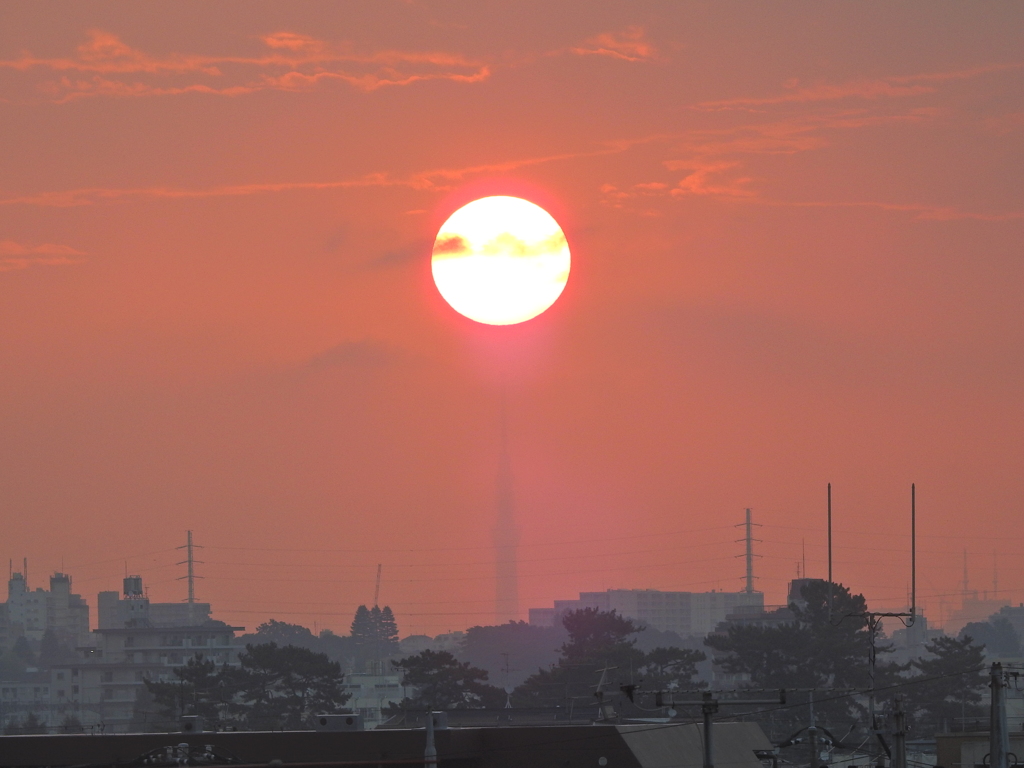 スカイツリー直上の朝日　７月２８日