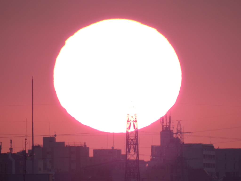 燃えました！
