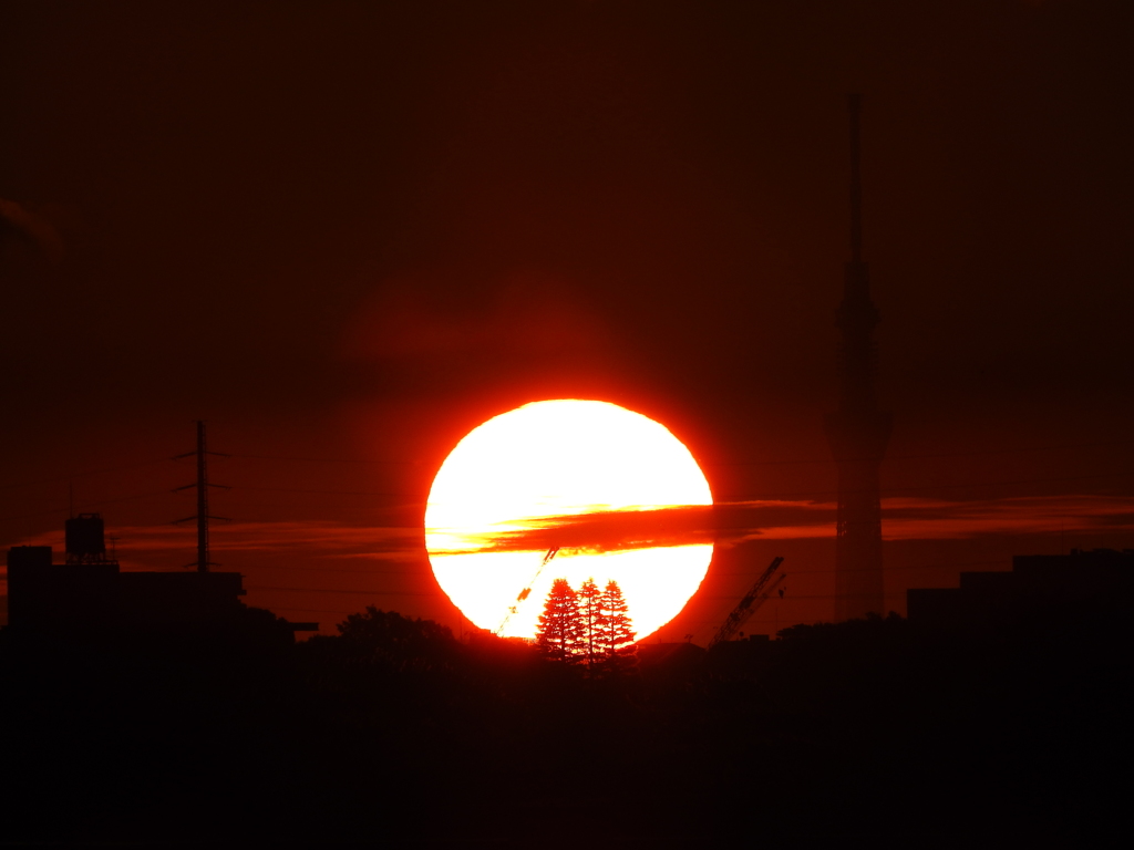 ある朝の景色