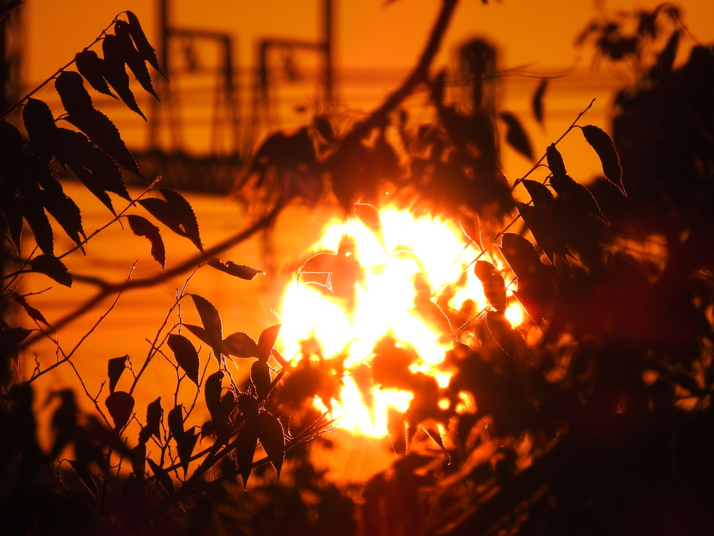 公園の夕陽
