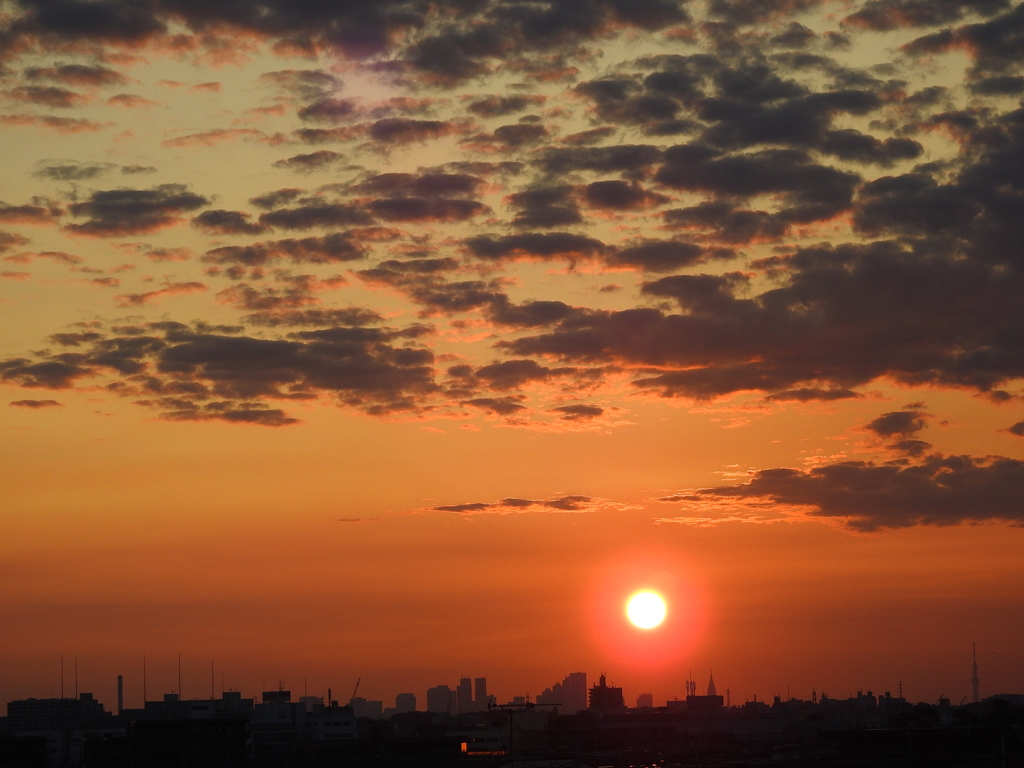 新宿の朝