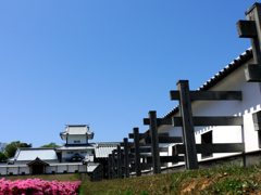 晩春の城壁