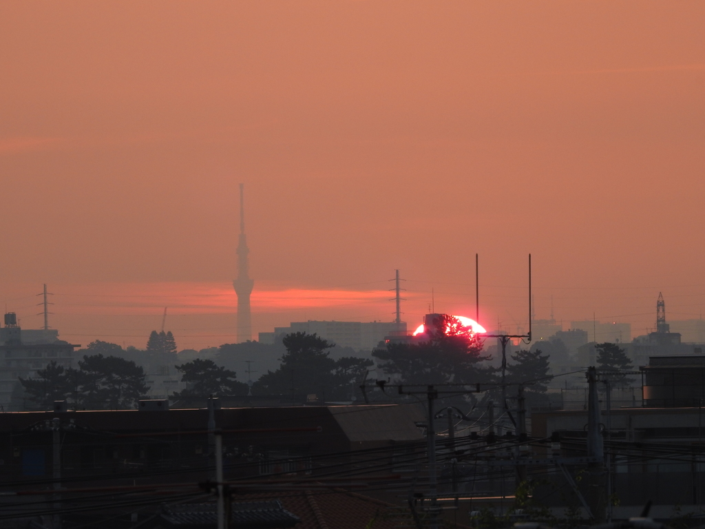 ４日遅れの朝日