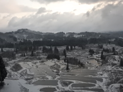 新春の星峠