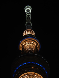 ツリーの明り２５０ｍ