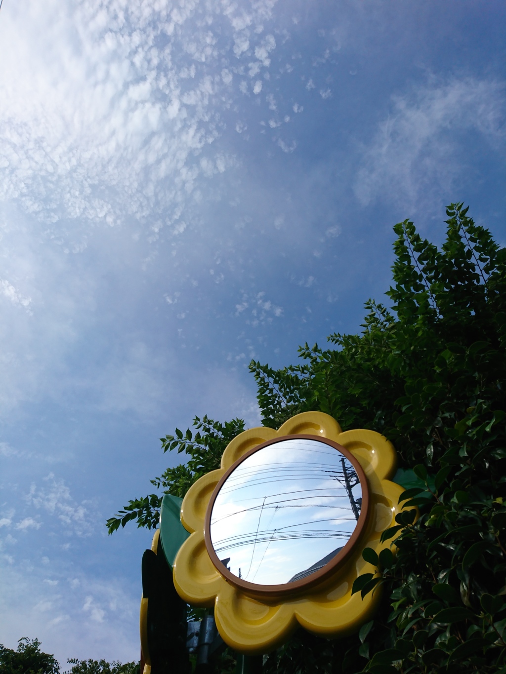 夏が来た！