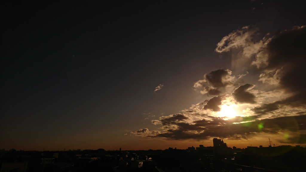 今朝の一枚