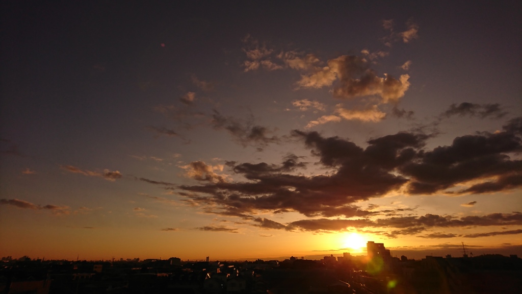 今朝の一枚