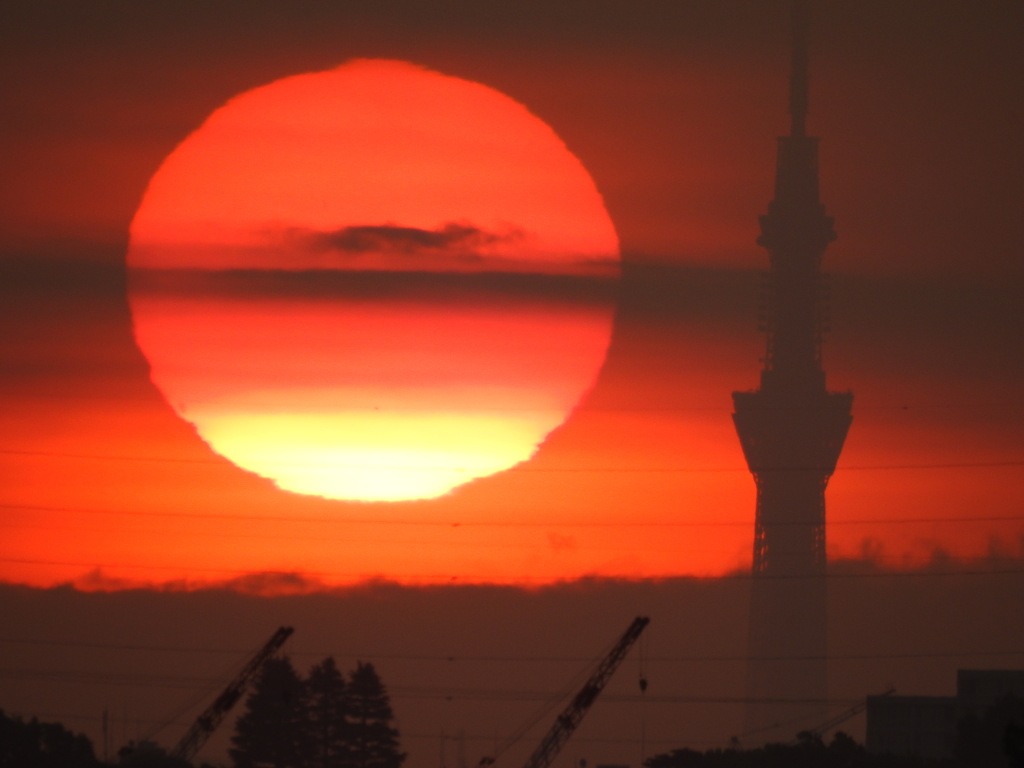 スカイツリーと朝日　2016春