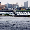 鵜鷺追いし多摩川　＃２　布陣