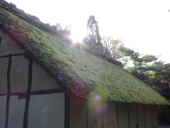 屋根の根
