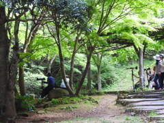 いくたの仙人