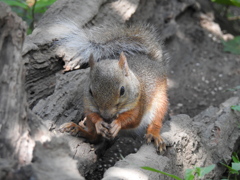 踏ん張りどころ