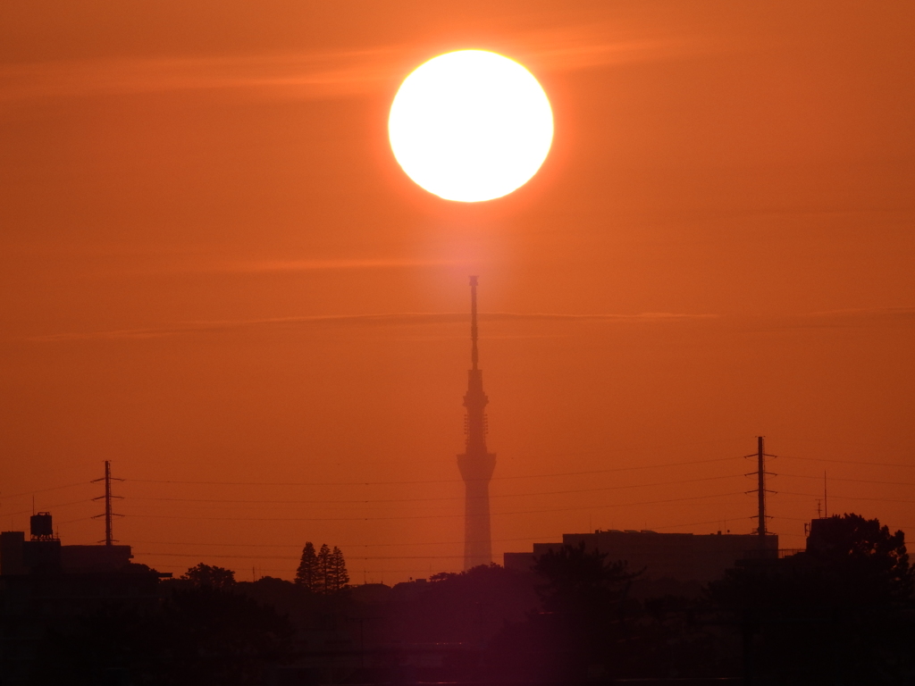 スカイツリーと朝日　2019春