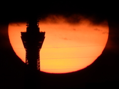 グラスに注がれた太陽