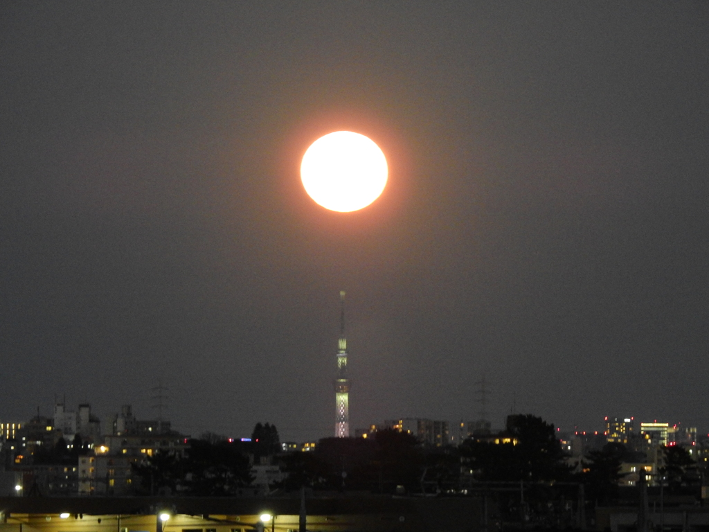 眩しさに負けた