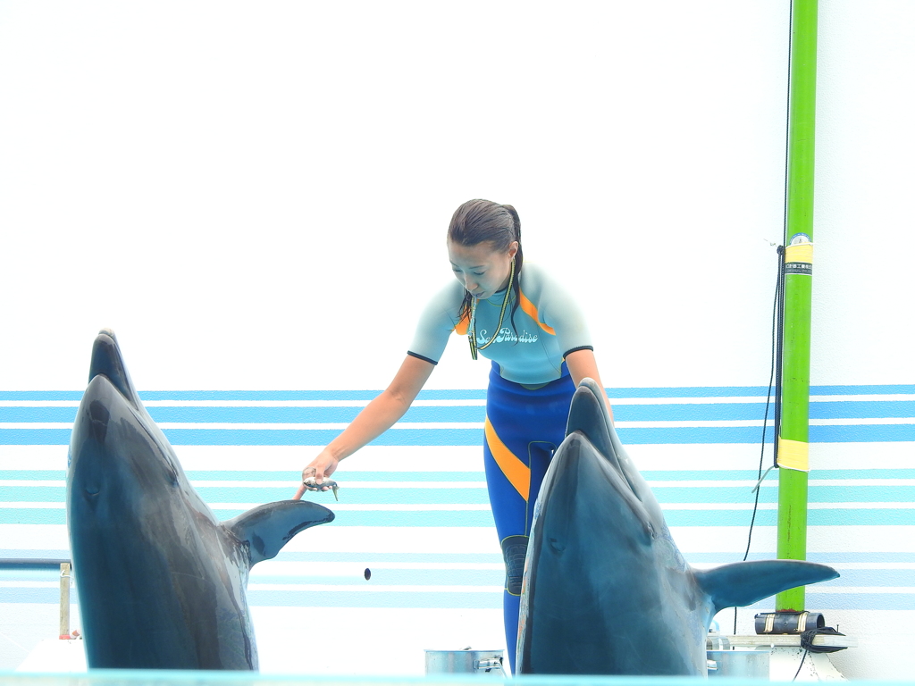 ご褒美頂戴