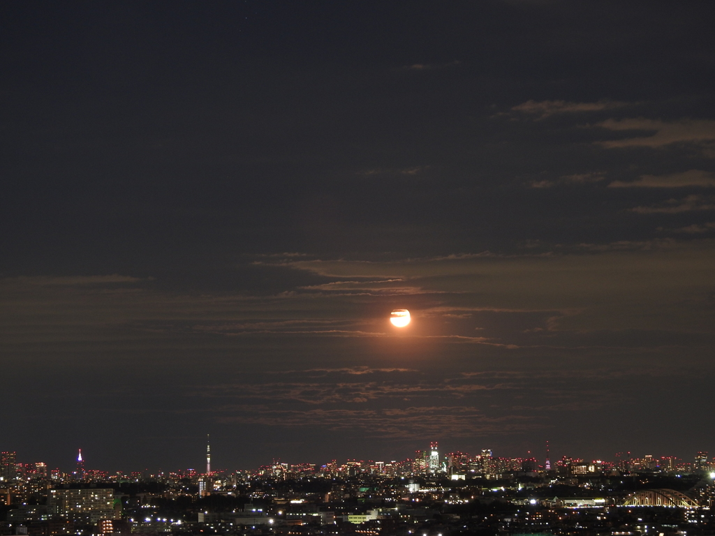 東京一望