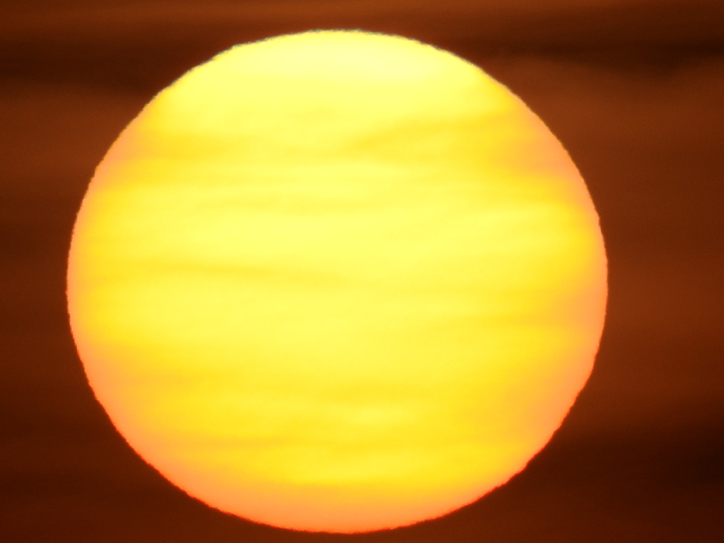 太陽にほえろ
