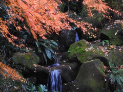 生田緑地の秋