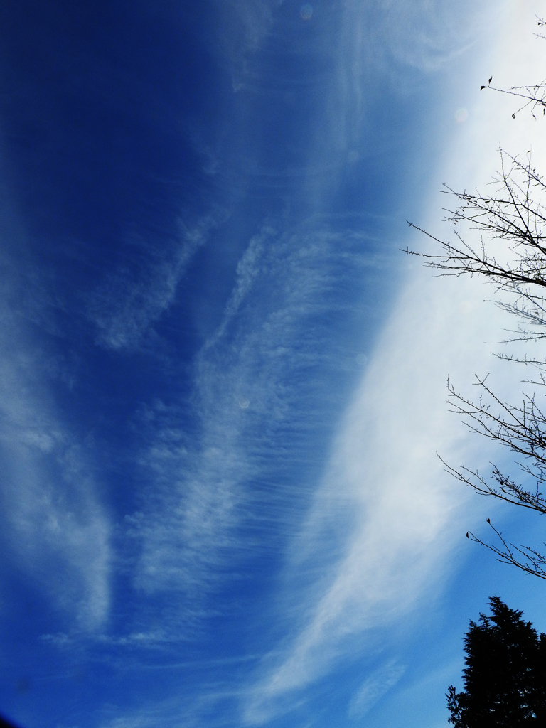 初冬の空