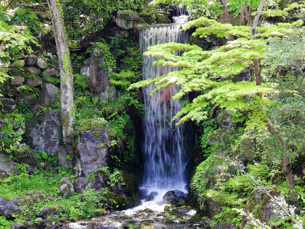 兼六園の滝