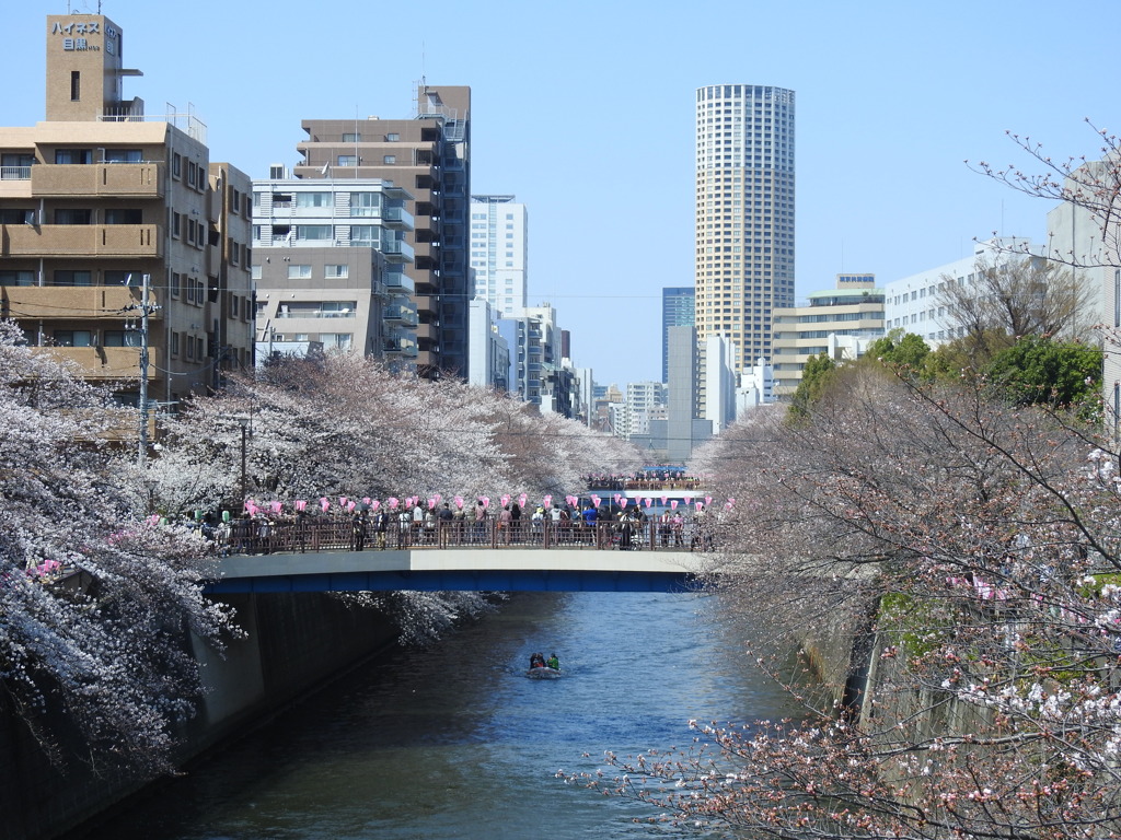 春日和