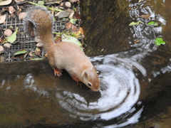 密かに練習してました