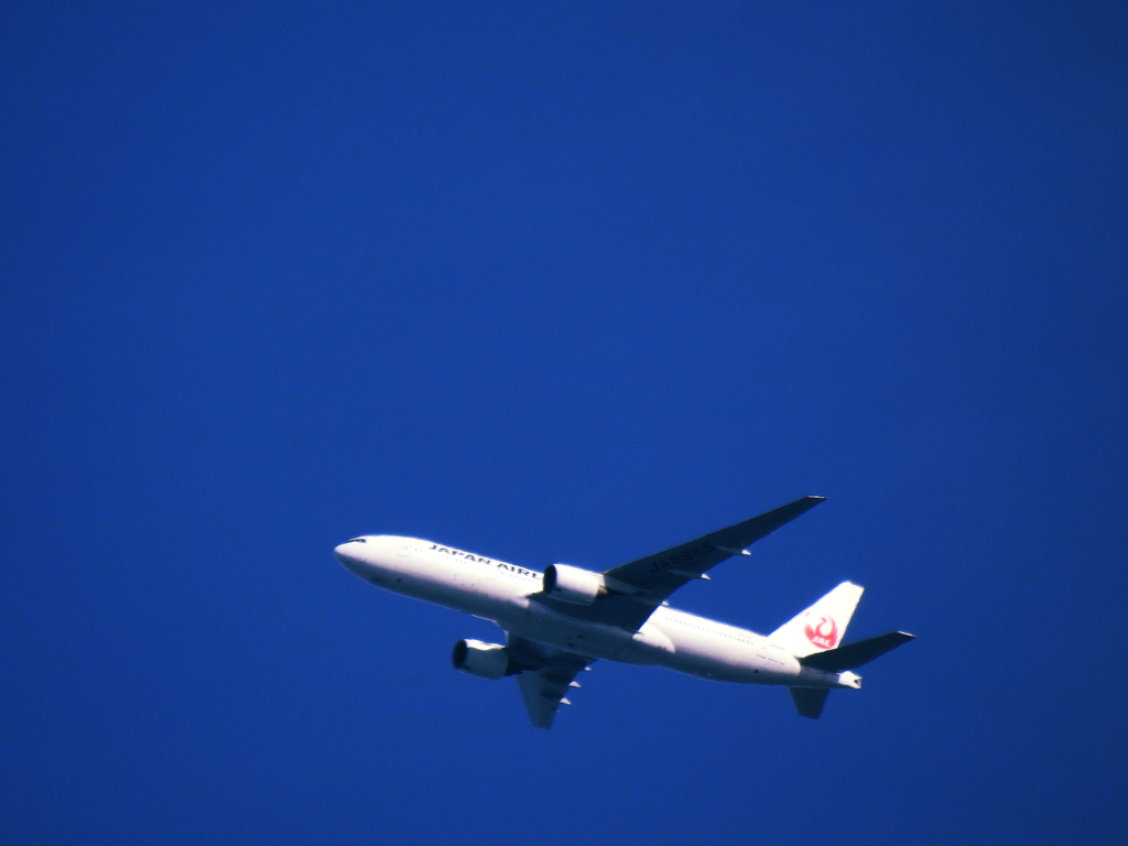 鶴