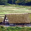 整地された棚田