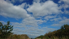 下北の空