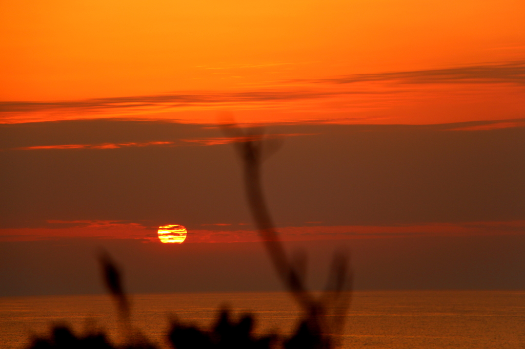山口にて　夕陽２