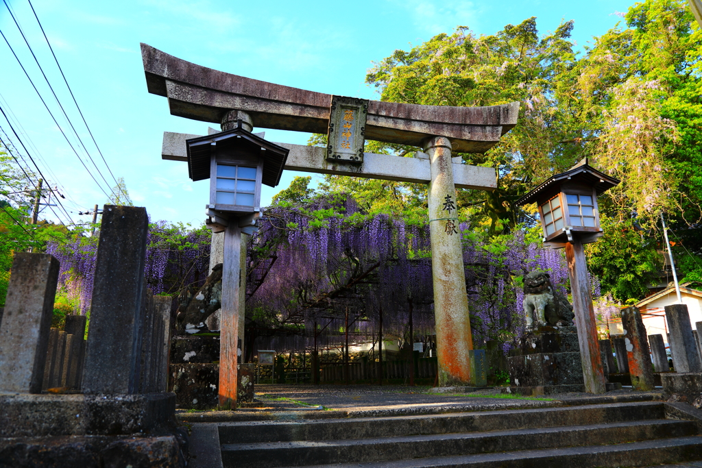 藤山神社にて