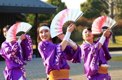 有田yosakoi祭り