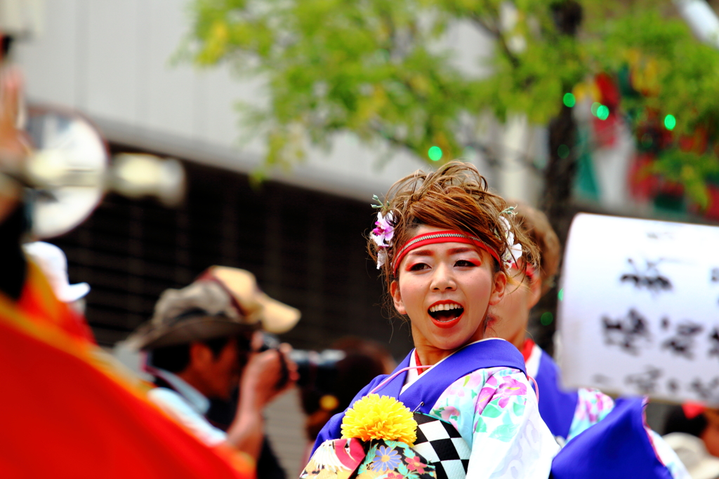 ふくのやまよさこい