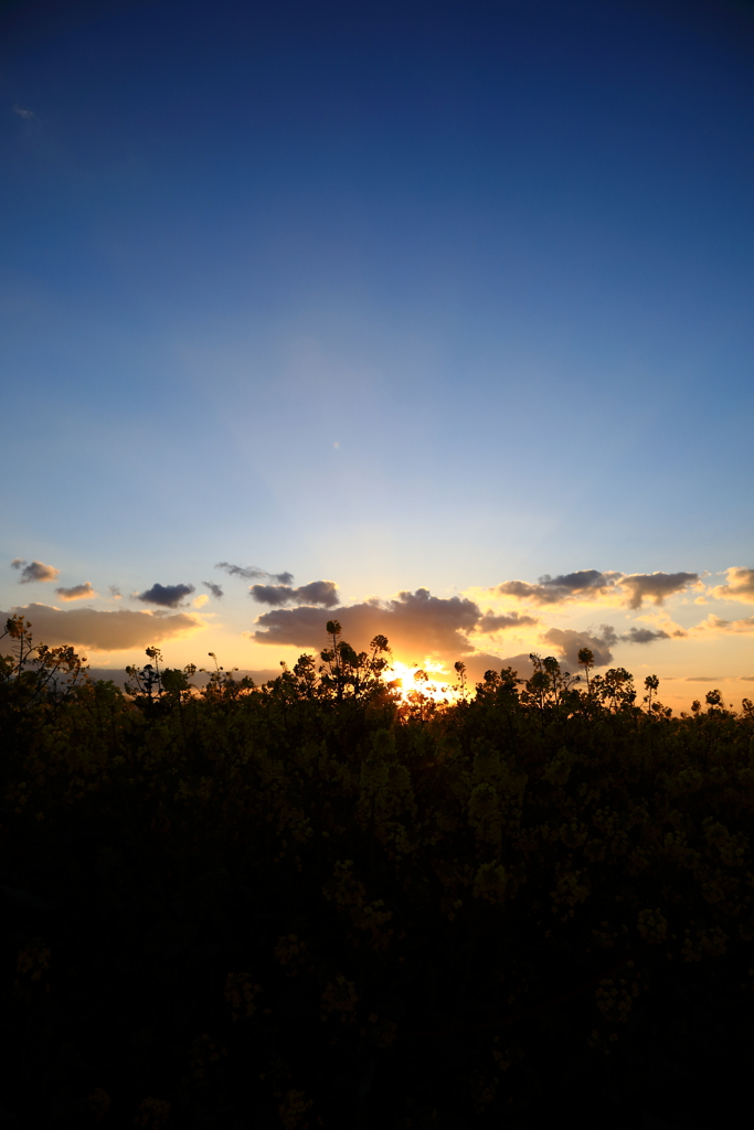 夕景