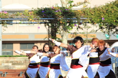YOSAKOIさせぼ祭り