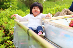 姪っ子