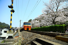 陶山神社にて