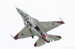 FA6A9955